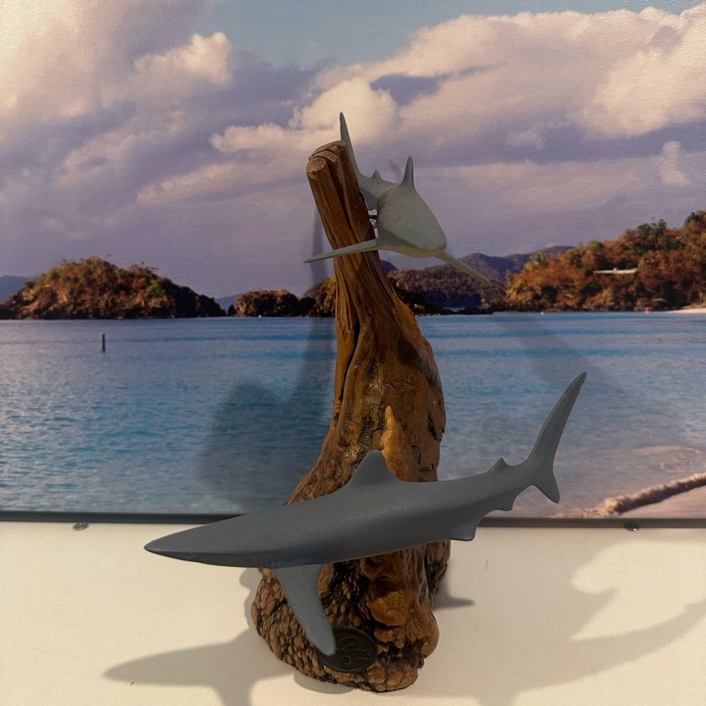 John Perry Shark Sculpture on Burlwood Base